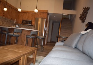 CONVENIENT, COMFORTABLE NORTHSTAR CONDO