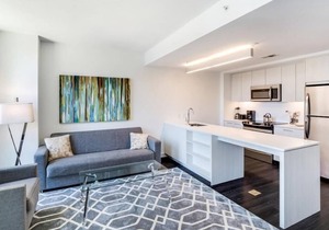 Convenient for Professionals| Lux Amenities | nr Dulles Airport