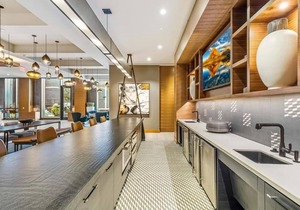 Convenient for Professionals| Lux Amenities | nr Dulles Airport