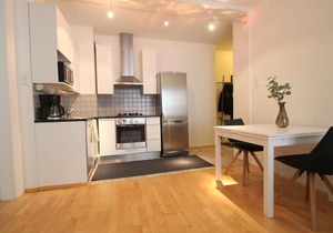 Convenient, Superior-level one-bedroom apartment in Ullanlinna, Helsinki (ID 8589)