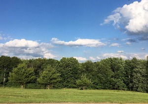 Cooperstown Double Play Cabins 3 - Near Dreams Park & Baseball Hall of Fame