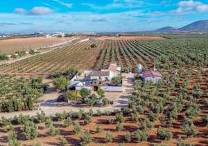 Cortijo del Coco 1 Fuente de Piedra by Ruralidays