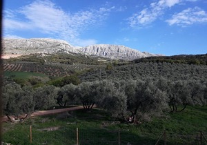 Cortijo la Dehesa del Trabuco