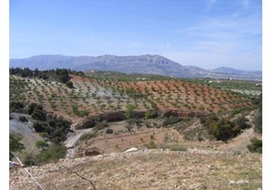 Cortijo la Estrella, Apartment 2