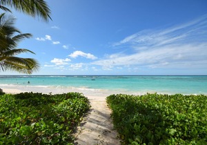 Cosy and Romantic Beachfront Condo - Nautilus