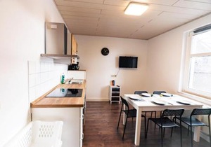 cosy apartment in Neupetershain with Wifi