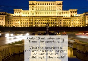 Cosy & Central Apartment in a friendly area