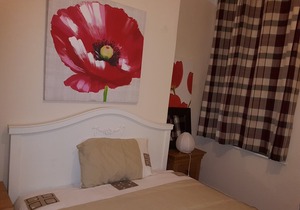 Cosy Homes Value for money (for up to 16 guests)