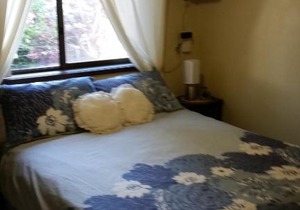 Cottage by the Bay, pet friendly