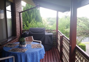 Cottage by the Bay - Rainbow Lorikeet