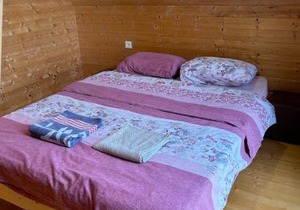 Cottage in Udabno
