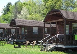 Cozy 1-BR cabin with additional sleeping loft. Less than 5 mi from Cooperstown