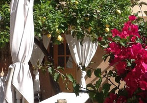 Cozy accommodation with garden in the quiet village of Estellencs