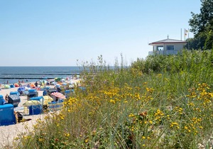 Cozy apartment for 4 near the beach, with a terrace, parking space and WiFi