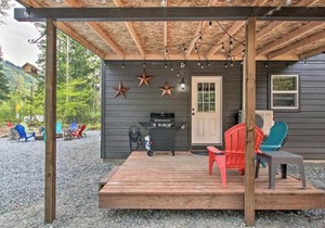 Cozy Cabin - 5 Miles to Mt Rainier National Park!