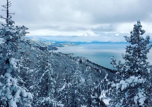 Cozy McCloud Condo - Walk to Lake Tahoe - Quiet, Updated Sleeps 3