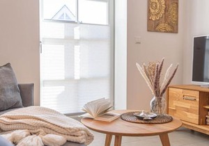 Cozy One