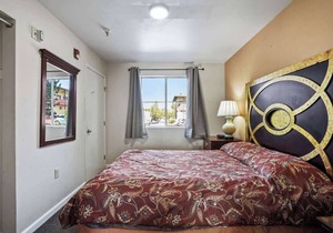 (Cozy studio, 1BED, 1BA, w/kitchen)