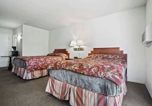 (Cozy studio, 2BED, 1BA, No kitchen)