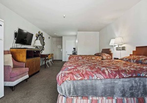 (Cozy studio, 2BED, 1BA, No kitchen)