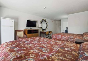 (Cozy studio, 2BED, 1BA, No kitchen)