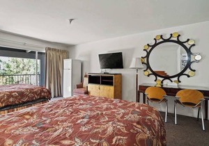 (Cozy studio, 2BED, 1BA, No kitchen)