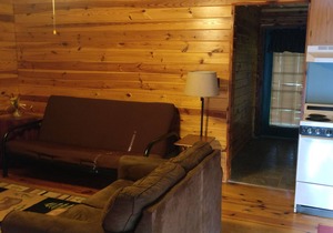COZY UNIT #2 WATERFRONT LOG CABIN
