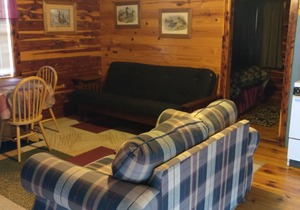COZY UNIT #3 WATERFRONT LOG CABIN