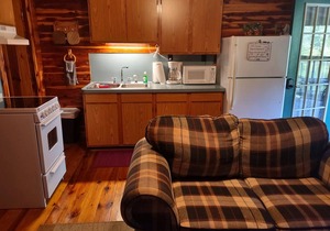 COZY UNIT #3 WATERFRONT LOG CABIN