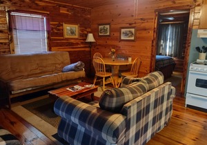 COZY UNIT #3 WATERFRONT LOG CABIN