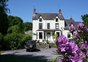 Craig Y Glyn