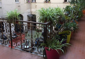 Cuore di testaccio apartment