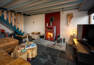 Cysgu Llwynog