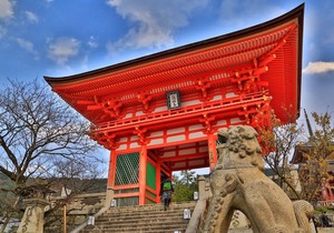 D6 1 minute walk from Karasuma Oike Station Grea - Karasuma Annex 416/Kyoto Kyōto