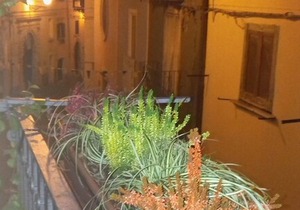 Da Fofo' in Campobasso