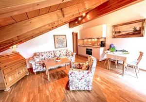 Dachstudio für 2 (Ferienwohnung ca. 46 m², max. 2+2 Personen, 1 Schafzimmer, Wohnküche, Balkon, WLAN, TV)