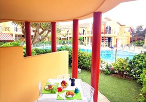 DAHLIA Palmeral Oasis