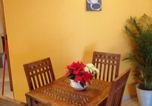 Dal Centurione Rustic apartment