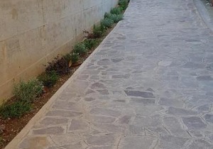 Daniela House 4