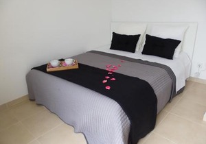 DANLUX MOLI 13