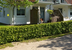 Apt. Strandträumer - Vacation directly in Timmendorf-Dorf at the Reiterhof!