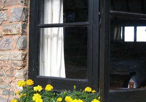 Delightful 2 bedroom cottage in beautiful Devon countryside, indoor pool & sauna
