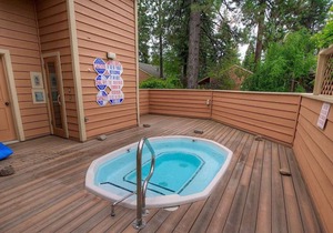 Delightful McCloud - Gorgeous Condo in McCloud!