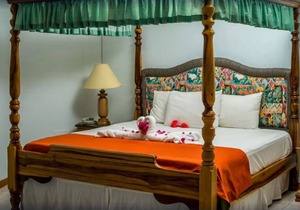 Deluxe Double 2, 1 King Bed, Garden View