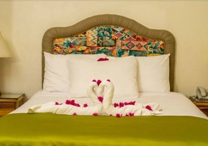 Deluxe Double Room, 1 King Bed, Garden View