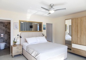 Deluxe suite with plunge pool