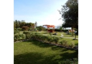 Deluxe three-room apartments - Strelitzia - at Le Casette sul Mare