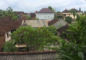 Demank House