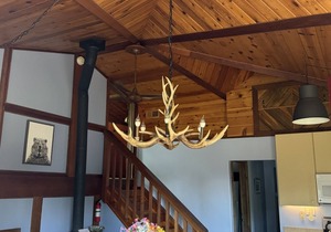 Denali National Park 3 Bedroom Home on 5 Acres, hi