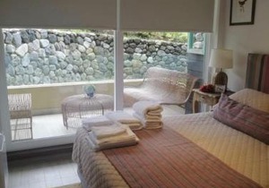Departamento Pucon espectacular